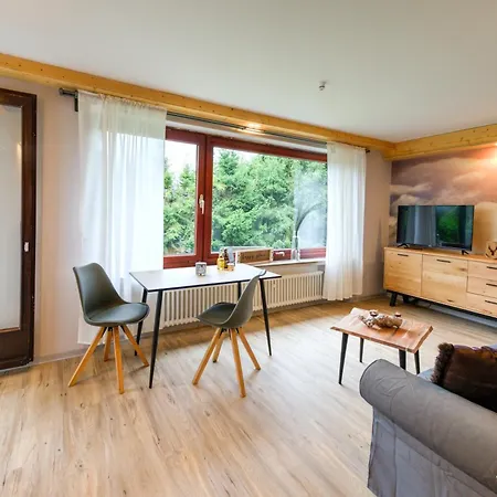 Auszeit-im-harz Haus 3 1 Apartamento Braunlage
