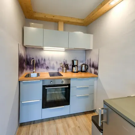 Apartamento Auszeit-im-harz Haus 3 1 Braunlage