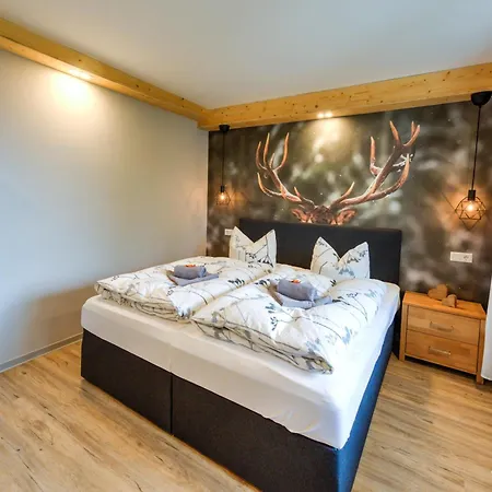 Auszeit-im-harz Haus 3 1 Apartamento Braunlage