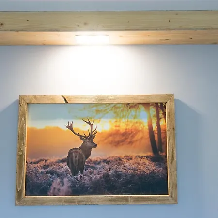 Auszeit-im-harz Haus 3 1 *