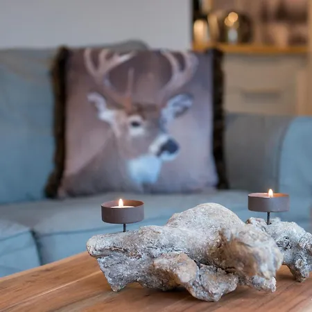 Auszeit-im-harz Haus 3 1