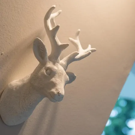 Auszeit-im-harz Haus 3 1 * Braunlage