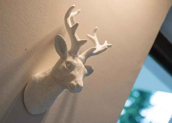 Auszeit-im-harz Haus 3 1 * Braunlage